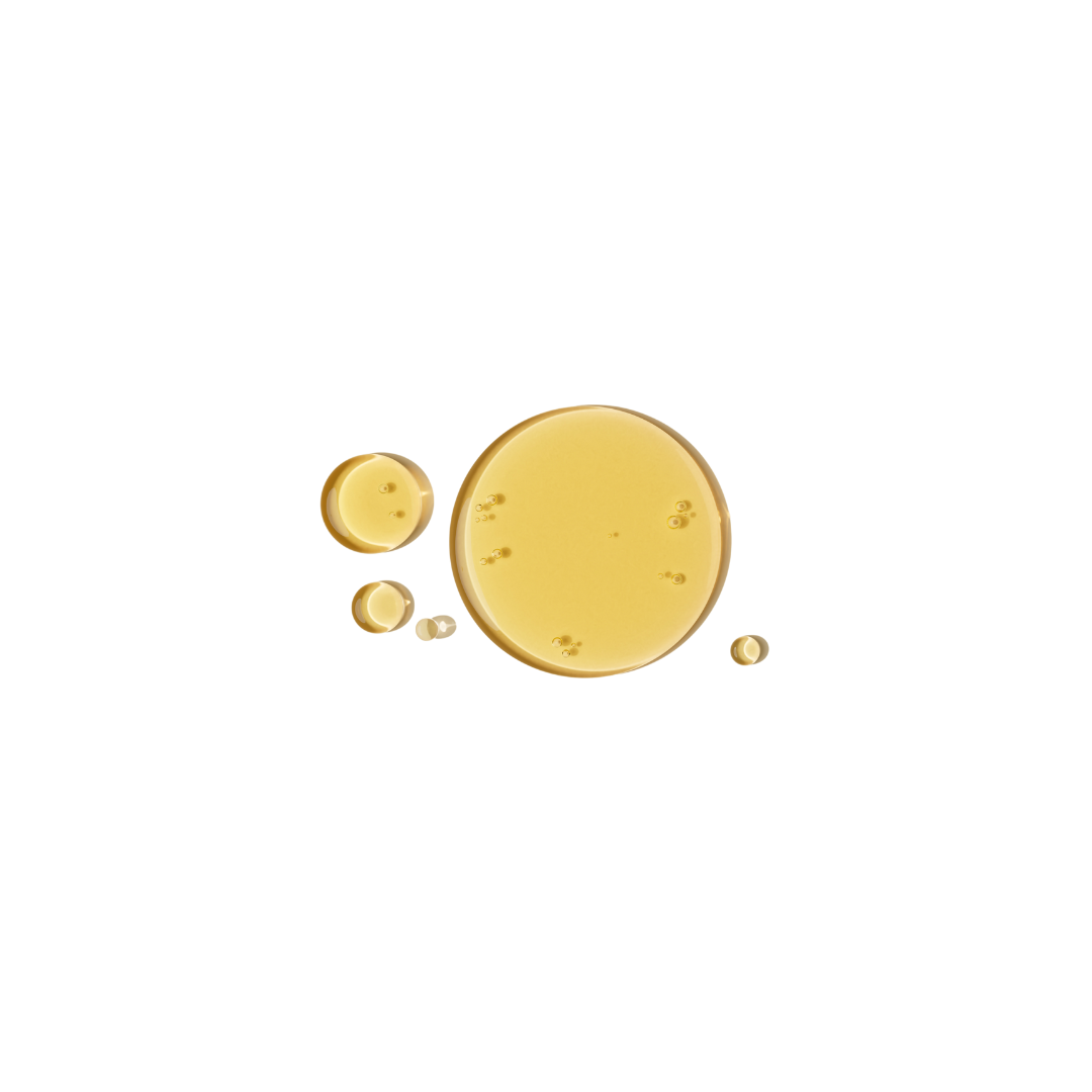 Hamamelis_Virginiana_Extract_Witchhazel.png